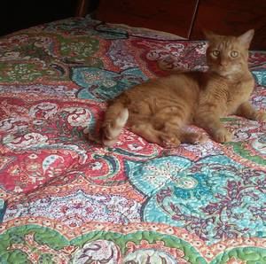 Meet your Posher, Gail